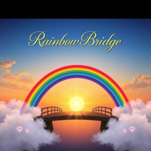 Rainbow Bridge Quotes